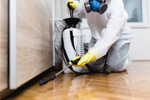 Pest Prevention Services in Posen, IL