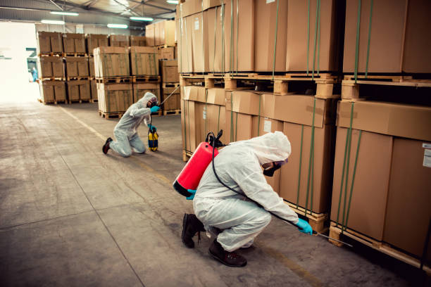 Best Best Pest Control Companies  in Posen, IL