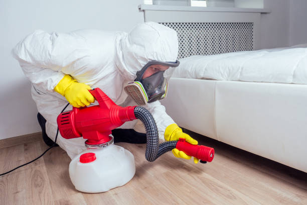 Best Affordable Pest Control Services  in Posen, IL