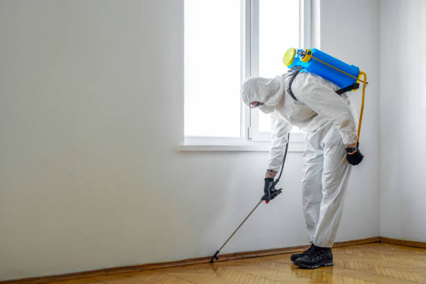 Best Rat Extermination Near Me  in Posen, IL