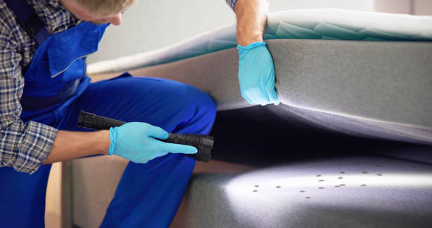 Best Pest Control Near Me  in Posen, IL