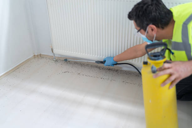 Best Bed Bug Extermination  in Posen, IL