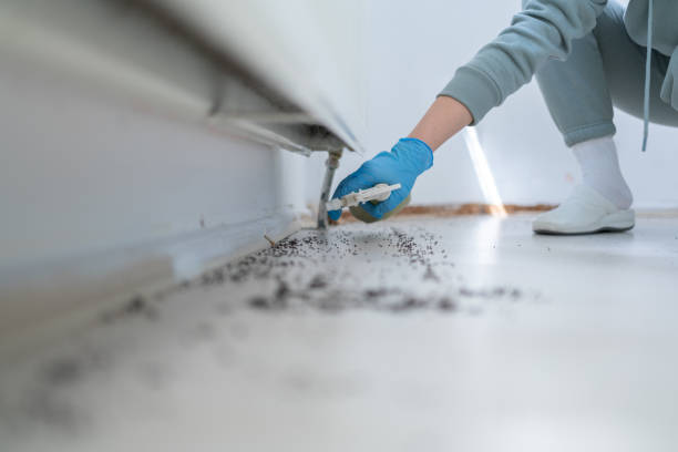 Best Pest Inspection Near Me  in Posen, IL